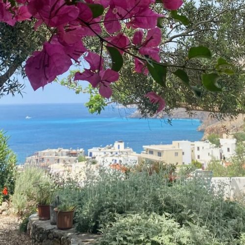 Útsýnið frá sameiginlegu veröndinni